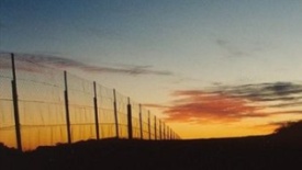 sunset-fence